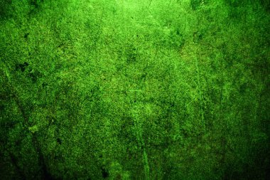 Yeşil doku, soyut arkaplan
