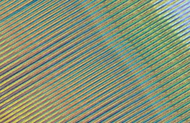 Çizgi ve çizgilerle soyut arkaplan