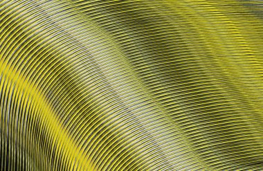 soyut çizgili doku, dijital duvar kağıdı