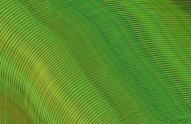 soyut çizgili doku, dijital duvar kağıdı