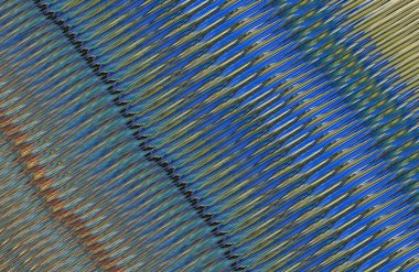 Arkaplan için renkli, geometrik desen