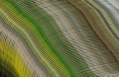 Arkaplan için renkli gradyan, geometrik desen