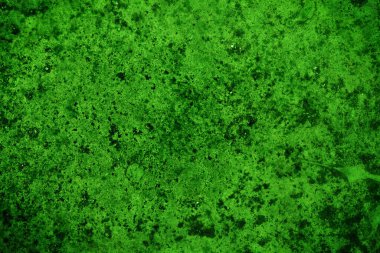 Yeşil doku, soyut arkaplan