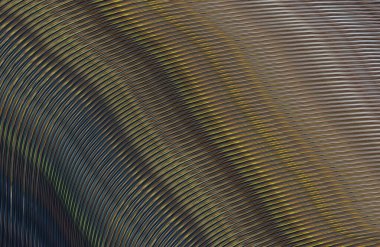 soyut çizgili doku, dijital duvar kağıdı