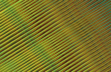 Geometrik desenli bir arkaplan tasarla 