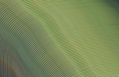 soyut çizgili doku, dijital duvar kağıdı