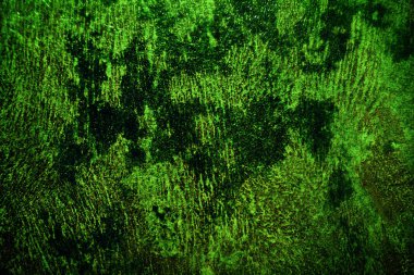 Yeşil doku, soyut arkaplan