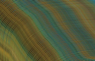 soyut çizgili doku, dijital duvar kağıdı