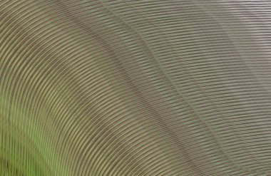 soyut çizgili doku, dijital duvar kağıdı