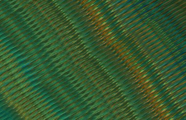 Arkaplan için renkli gradyan, geometrik desen