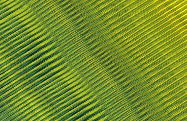 Arkaplan için renkli gradyan, geometrik desen