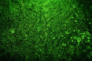 Yeşil doku, soyut arkaplan