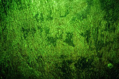 Yeşil doku, soyut arkaplan