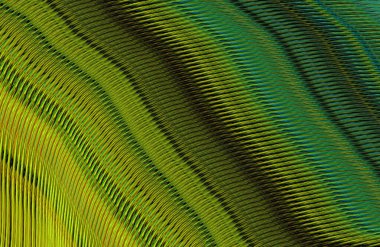 Arkaplan için renkli gradyan, geometrik desen