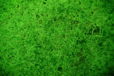 Yeşil doku, soyut arkaplan
