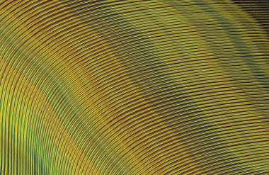 Arkaplan için renkli gradyan, geometrik desen