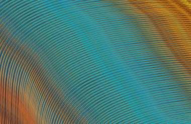 soyut çizgili doku, dijital duvar kağıdı