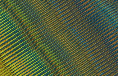 soyut renkli doku arkaplanı, uzay duvar kağıdını kopyala 