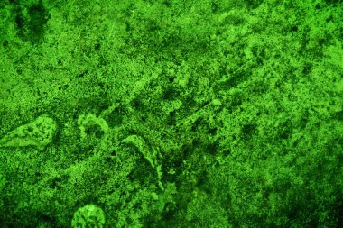 Yeşil doku, soyut arkaplan