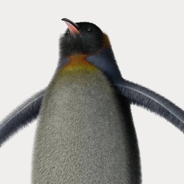 Renderowanie Pingwina Kreskówkowego — Zdjęcie stockowe
