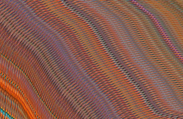 Arkaplan için renkli gradyan, geometrik desen