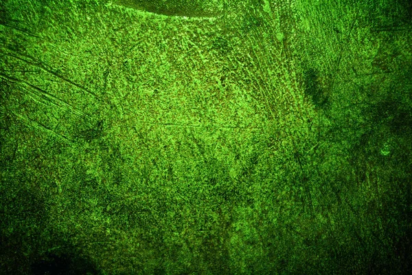 Texture Verde Sfondo Astratto — Foto Stock