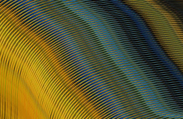 Textura Rayada Abstracta Fondo Pantalla Digital —  Fotos de Stock