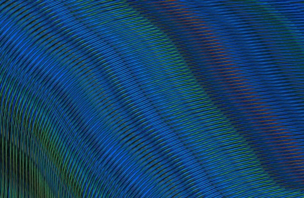 soyut çizgili doku, dijital duvar kağıdı