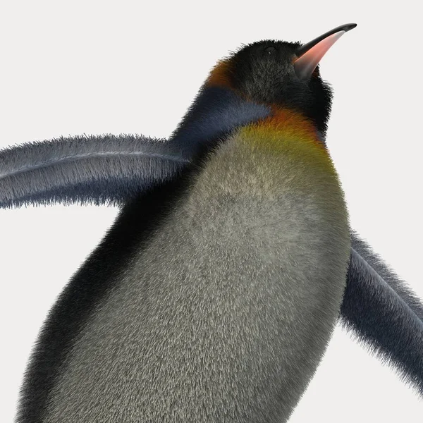 Darstellung Von Cartoon Pinguin — Stockfoto