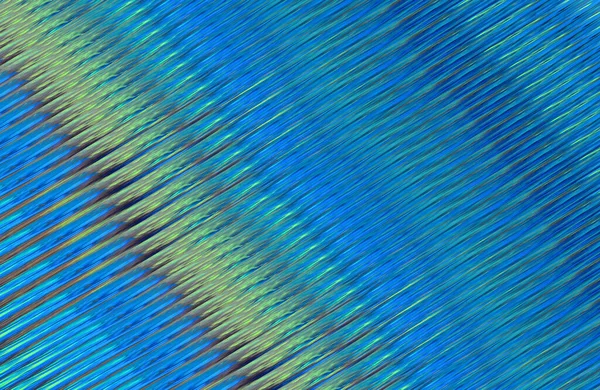 Patrón Líneas Colores Abstractos Ilustración Gráfica —  Fotos de Stock