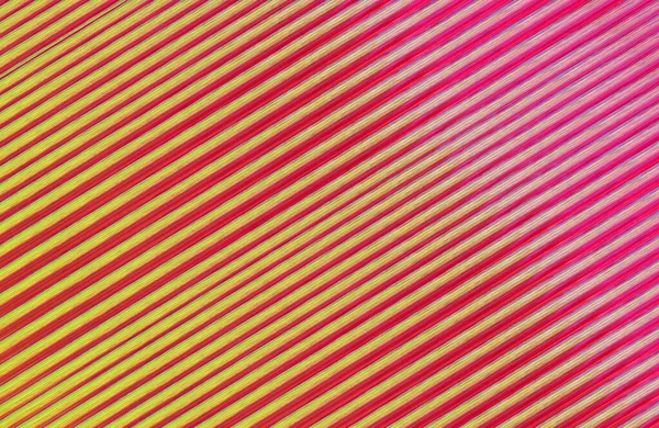 Abstrakte Farbenfrohe Linien Grafische Illustration — Stockfoto