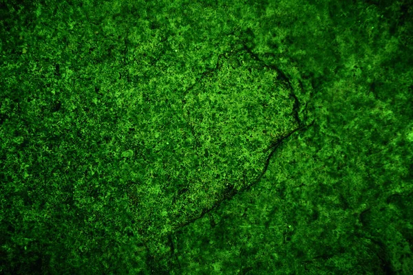 Texture Verde Sfondo Astratto — Foto Stock