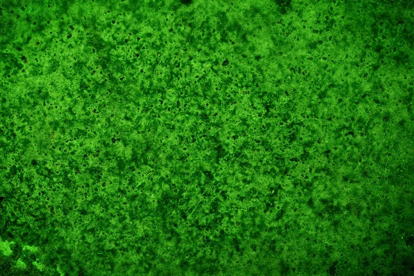 Yeşil doku, soyut arkaplan