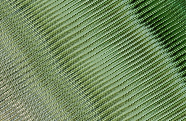 Soyut renkli çizgiler deseni. grafik illüstrasyon 