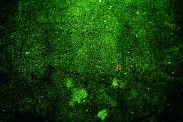 Green Texture Abstract Background — Stock Photo, Image