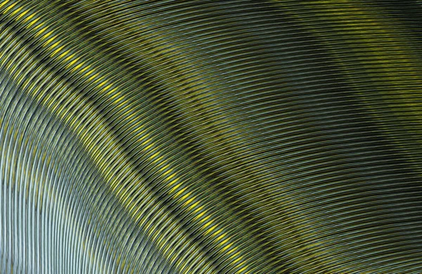 soyut çizgili doku, dijital duvar kağıdı