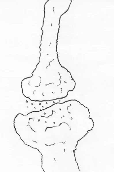 Synapses Ceruza Grafikát Fehér Papíron — Stock Fotó