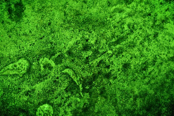 Yeşil doku, soyut arkaplan