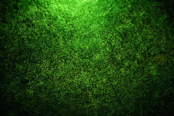 Textura Verde Fundo Abstrato — Fotografia de Stock