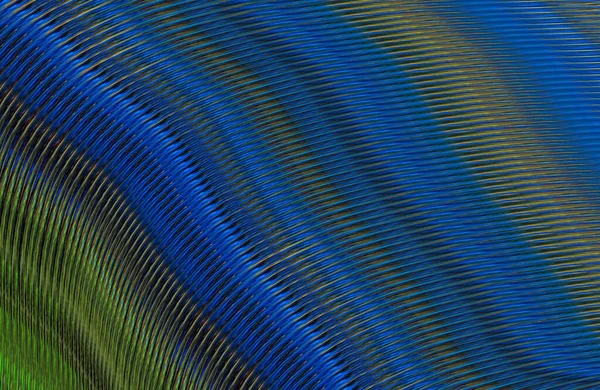 Gradient Coloré Motif Géométrique Pour Fond — Photo