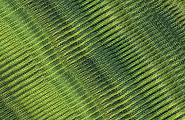 Arkaplan için renkli gradyan, geometrik desen