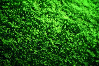 Yeşil doku, soyut arkaplan