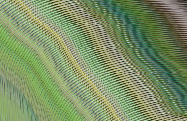 soyut çizgili doku, dijital duvar kağıdı