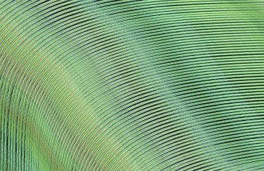 soyut çizgili doku, dijital duvar kağıdı