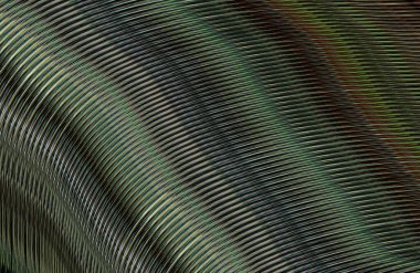 soyut çizgili doku, dijital duvar kağıdı