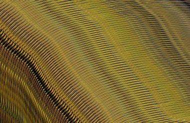 soyut çizgili doku, dijital duvar kağıdı