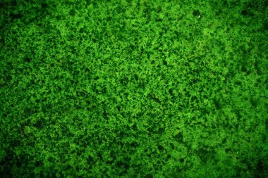 Yeşil doku, soyut arkaplan