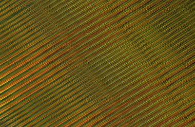 Arkaplan için renkli gradyan, geometrik desen