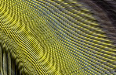 soyut çizgili doku, dijital duvar kağıdı