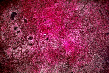 Kapak tasarımı, renkli gradyanlar, gelecekteki geometrik desenler, modern soyut kapaklar 